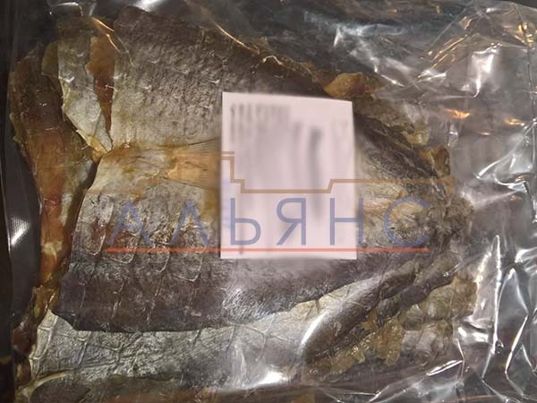 Царский полосатик с перцем в Ачинске